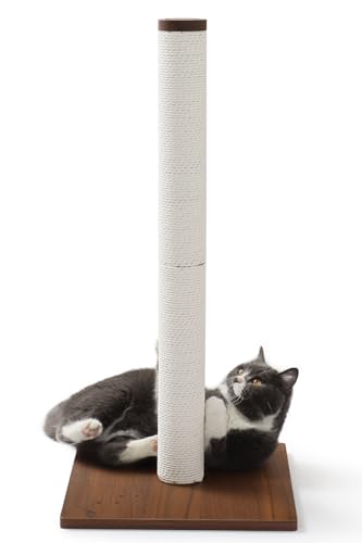 じゃれねこ『1月☆17 いちご♡A』 蕪のせ猫 2023 231228 - YouTube